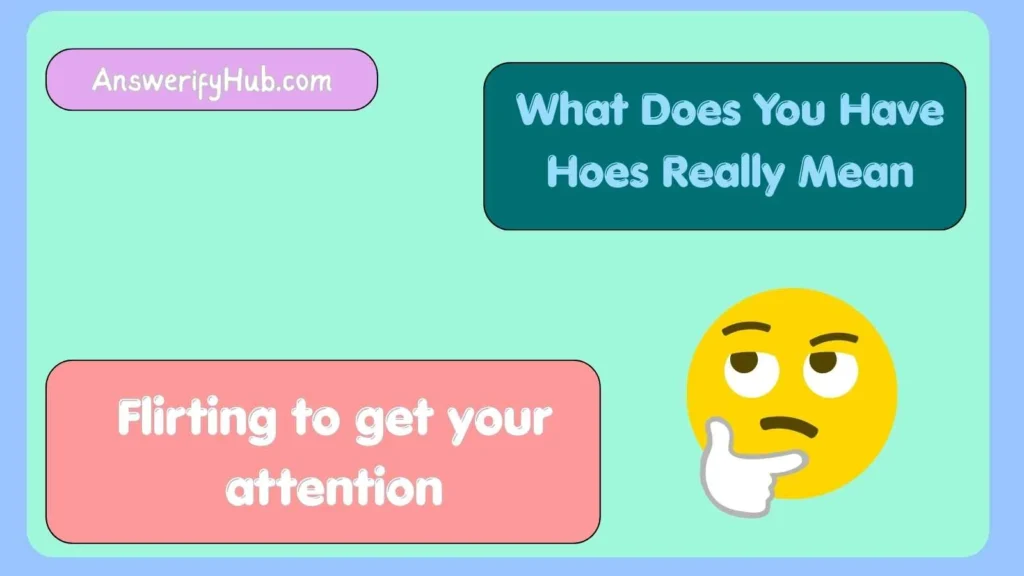 What Does You Have Hoes Really Mean
